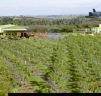 Dindima Wines - Australian Directory