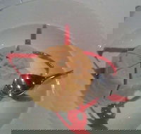 Indian Garden Restaurant - Australian Directory