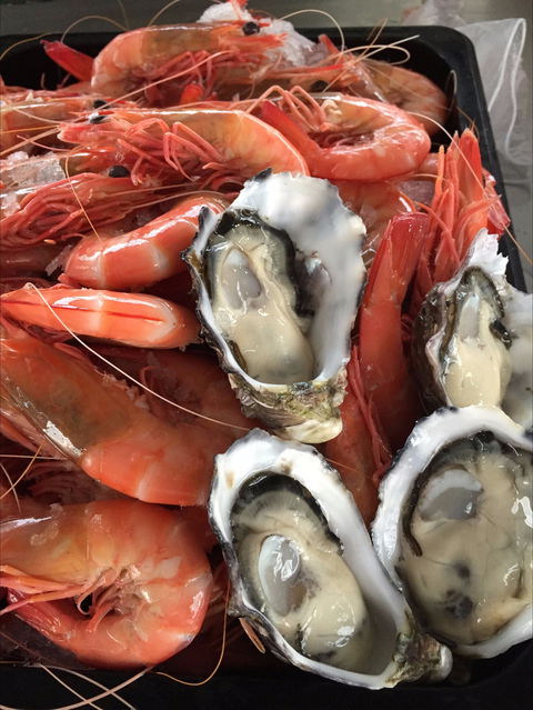 Mi Shells Seafood - Australian Directory 0