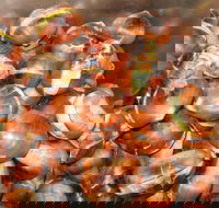 Tweenhills Chestnuts - Australian Directory
