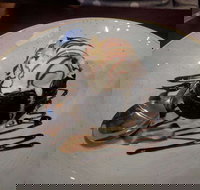 Front Bar - Greengate Hotel - Australian Directory