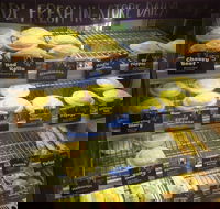 Jesters - Midland - Australian Directory