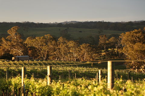Max & Me Wine Tasting @ Eden Valley Hotel - Australian Directory 1