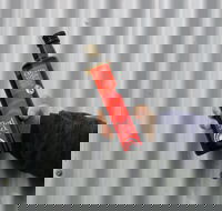 Red Rock Olives - Australian Directory