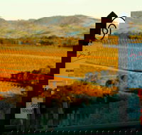 Seize the Day Wines - Australian Directory