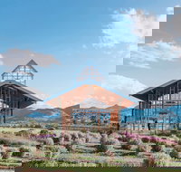 Kooroomba Vineyard and Lavender Farm - Australian Directory