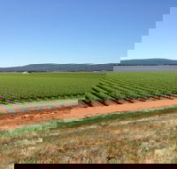 Melange Wines - Australian Directory