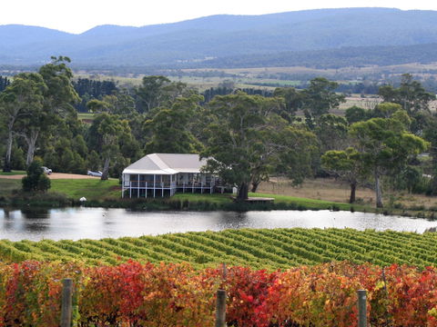 Milton Vineyard - Australian Directory 0
