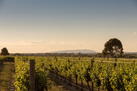 Norton Estate Wines - Australian Directory 2