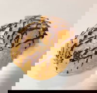 Delish Patisserie - Australian Directory