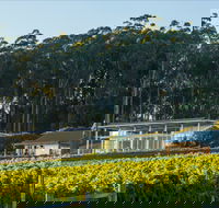 Moores Hill Estate - Australian Directory