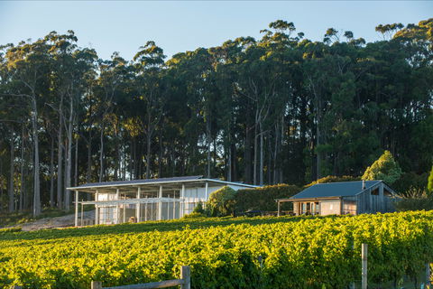 Moores Hill Estate - Australian Directory 0