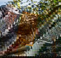 Pure Peninsula Honey - Australian Directory