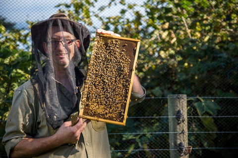 Pure Peninsula Honey - Australian Directory 0