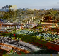 Homage - Australian Directory