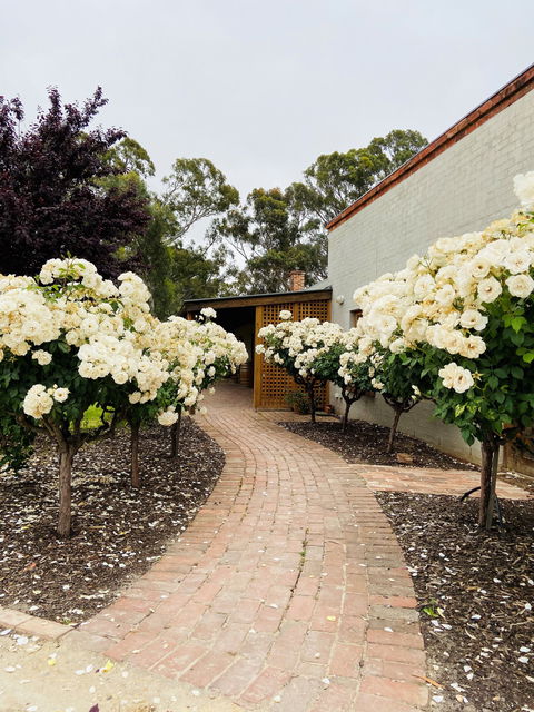 Lindsay Wine Estate - Australian Directory 2