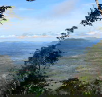 Platypus Lodge Restaurant and Cafe - Australian Directory