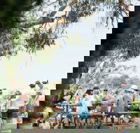 St Leonards Vineyard Caf - Australian Directory