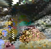 Sweetness Your Lolly Shop and Gelato - Australian Directory