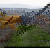 Barwon Ridge Wines - Australian Directory