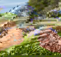 Redgate Wines - Australian Directory