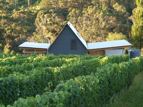 Two Bud Spur Vineyard - Australian Directory 0