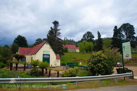 Frank's Cider House  And Cafe - Australian Directory 0