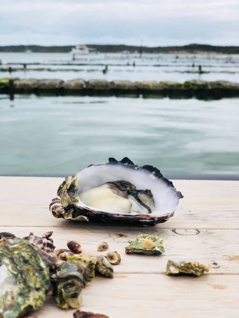 Oyster HQ - Australian Directory 1