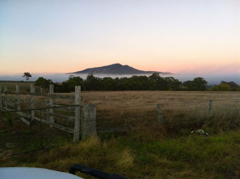 Mountainside Wines - Australian Directory 0