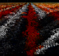 Sandhurst Ridge - Australian Directory