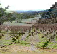 Habitat Vineyard - Australian Directory