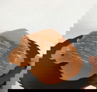 The Usual Joint - Australian Directory