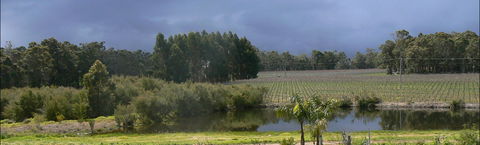 The Alchemist - Australian Directory 0