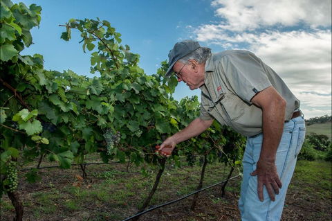 Vale Creek Wines - Australian Directory 2