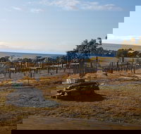 Overtime vineyard - Australian Directory