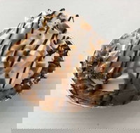 Oven Door Bakery Cafe Drover - Australian Directory