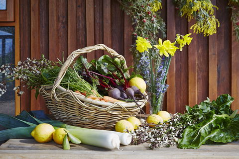 O'Reilly's Orchard - Australian Directory 1