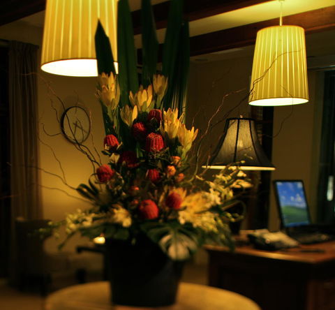 De Russie Boutique Hotel - Australian Directory 26