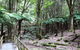 Wallace Lodge - thumb 11