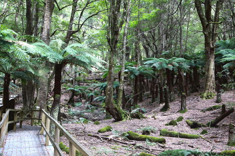 Wallace Lodge - Australian Directory 11