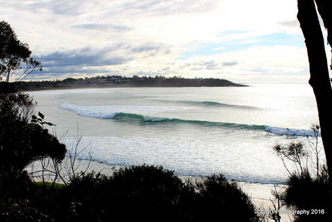 Mollymook Cove Apartments - Australian Directory 2