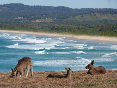 High Tide At Emerald - Australian Directory 13