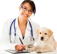 HIGHLANDS VETERINARY GROUP - Australian Directory
