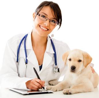 HIGHLANDS VETERINARY GROUP - Australian Directory 0
