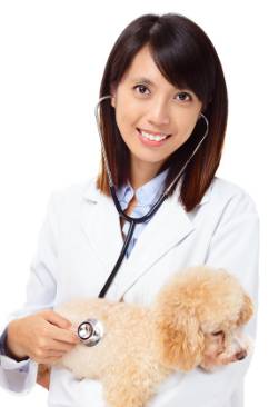 HIGHLANDS VETERINARY GROUP - Australian Directory 3