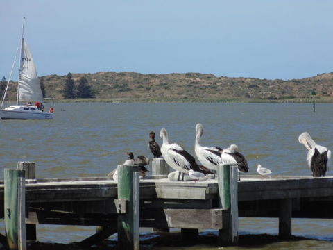Baronet B & B - Australian Directory 20
