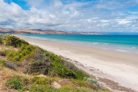 Sun & Surf Aldinga Beach Apartment - Australian Directory 1