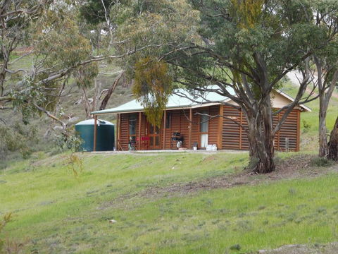 Molly's Chase - Australian Directory 16