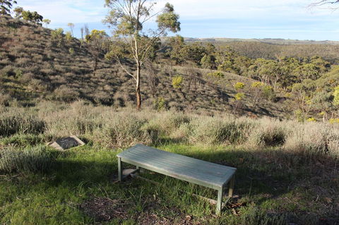 Molly's Chase - Australian Directory 31
