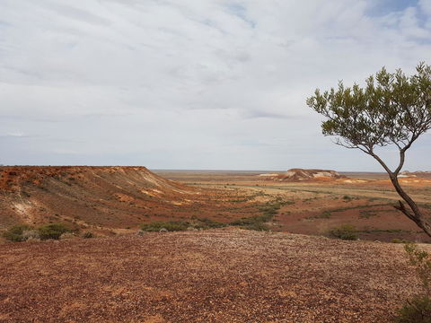 Underground Gem - Australian Directory 30